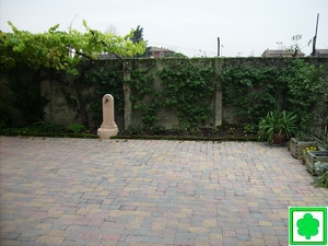 Vecchio muro con aiula, fontana, corteccia e arbusti  rampicanti che lo copriranno